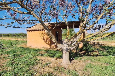 Finca i Ginestar, Tarragona, Ginestar - € 17.000 | Ref: CC842 - foto 6